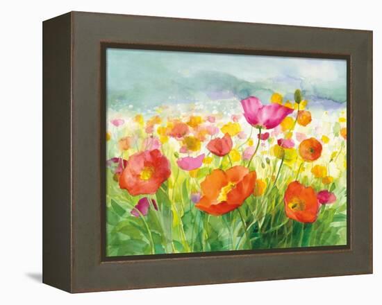 Meadow Poppies-Danhui Nai-Framed Stretched Canvas