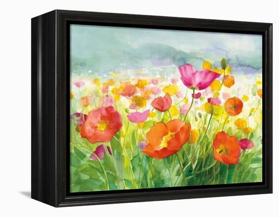 Meadow Poppies-Danhui Nai-Framed Stretched Canvas