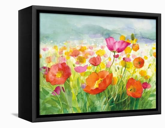 Meadow Poppies-Danhui Nai-Framed Stretched Canvas