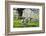 Meadow, Sheep, Graze, Cherry Trees-Herbert Kehrer-Framed Photographic Print