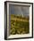 Meadow, Shrine Pass, Colorado, USA-Don Grall-Framed Photographic Print