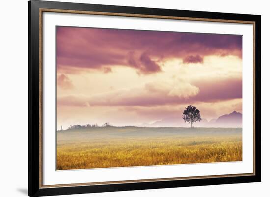 Meadow Tree-Andreas Stridsberg-Framed Giclee Print