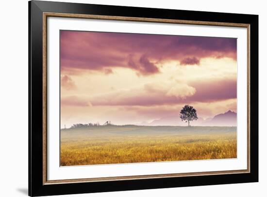 Meadow Tree-Andreas Stridsberg-Framed Giclee Print