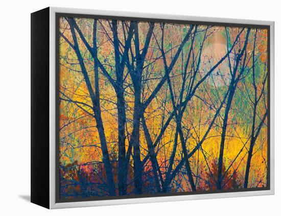 Meadow Trees I-Chris Vest-Framed Stretched Canvas