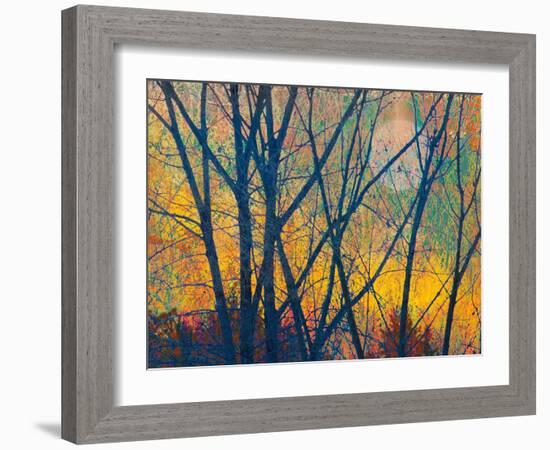 Meadow Trees I-Chris Vest-Framed Art Print