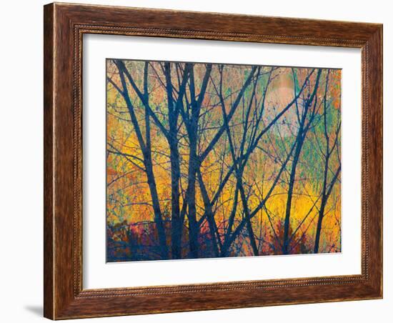 Meadow Trees I-Chris Vest-Framed Art Print