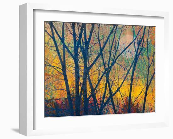 Meadow Trees I-Chris Vest-Framed Art Print
