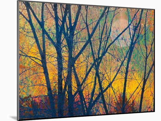 Meadow Trees I-Chris Vest-Mounted Art Print