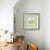 Meadow Turtle II-Betz White-Framed Premium Giclee Print displayed on a wall