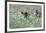 Meadow, Wild Boars, Making a Mess-Reiner Bernhardt-Framed Photographic Print