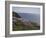 Meadow, Wild Flowers, Coast, England-Andrea Haase-Framed Photographic Print