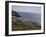 Meadow, Wild Flowers, Coast, England-Andrea Haase-Framed Photographic Print