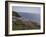 Meadow, Wild Flowers, Coast, England-Andrea Haase-Framed Photographic Print