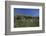 Meadow, Wild Flowers, Grass, Coast, England-Andrea Haase-Framed Photographic Print