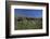 Meadow, Wild Flowers, Grass, Coast, England-Andrea Haase-Framed Photographic Print