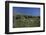 Meadow, Wild Flowers, Grass, Coast, England-Andrea Haase-Framed Photographic Print