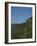 Meadow, Wild Flowers, Grass, Coast, England-Andrea Haase-Framed Photographic Print