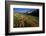 Meadow Wildflowers, Little Cottonwood Canyon, Albion Basin, Utah, USA-Charles Gurche-Framed Photographic Print