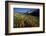 Meadow Wildflowers, Little Cottonwood Canyon, Albion Basin, Utah, USA-Charles Gurche-Framed Photographic Print