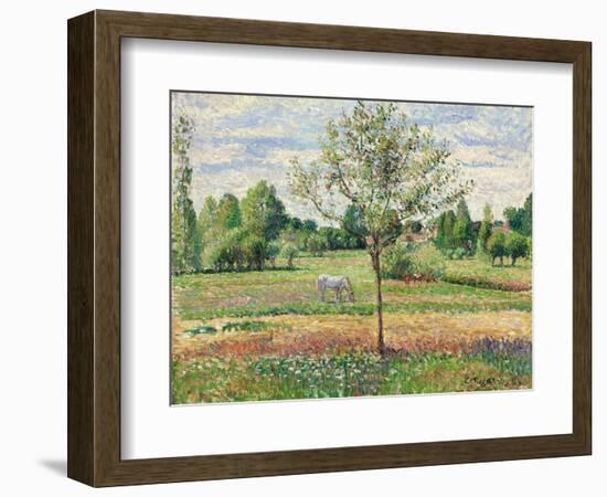 Meadow with Grey Horse, Eragny, 1893-Camille Pissarro-Framed Giclee Print