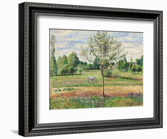 Meadow with Grey Horse, Eragny, 1893-Camille Pissarro-Framed Giclee Print