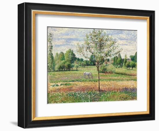 Meadow with Grey Horse, Eragny, 1893-Camille Pissarro-Framed Giclee Print