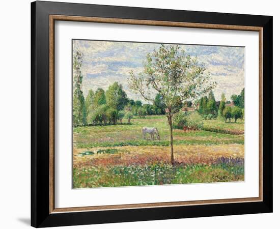 Meadow with Grey Horse, Eragny, 1893-Camille Pissarro-Framed Giclee Print