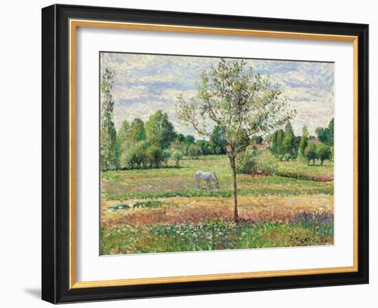 Meadow with Grey Horse, Eragny, 1893-Camille Pissarro-Framed Giclee Print