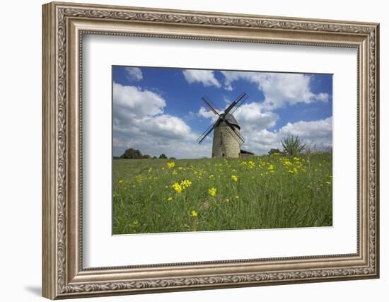 Meadow with Senecio in Front of the Devil's Mill in the Harz Foreland in Saxony-Anhalt-Uwe Steffens-Framed Photographic Print