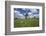 Meadow with Senecio in Front of the Devil's Mill in the Harz Foreland in Saxony-Anhalt-Uwe Steffens-Framed Photographic Print