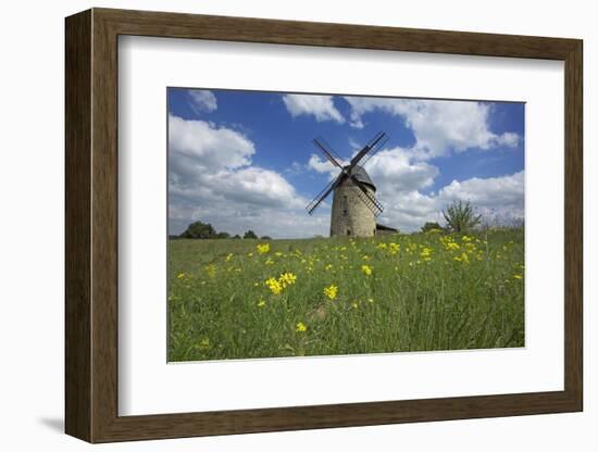 Meadow with Senecio in Front of the Devil's Mill in the Harz Foreland in Saxony-Anhalt-Uwe Steffens-Framed Photographic Print