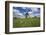 Meadow with Senecio in Front of the Devil's Mill in the Harz Foreland in Saxony-Anhalt-Uwe Steffens-Framed Photographic Print