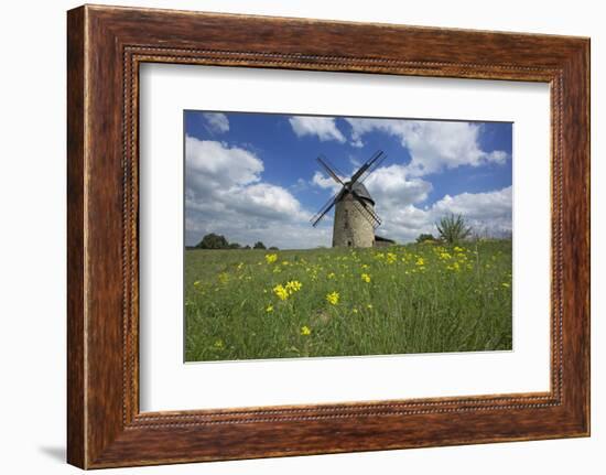 Meadow with Senecio in Front of the Devil's Mill in the Harz Foreland in Saxony-Anhalt-Uwe Steffens-Framed Photographic Print