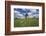 Meadow with Senecio in Front of the Devil's Mill in the Harz Foreland in Saxony-Anhalt-Uwe Steffens-Framed Photographic Print
