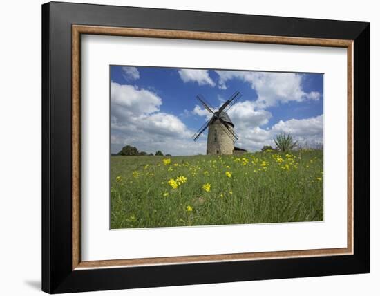 Meadow with Senecio in Front of the Devil's Mill in the Harz Foreland in Saxony-Anhalt-Uwe Steffens-Framed Photographic Print