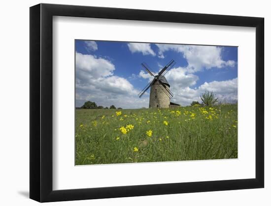 Meadow with Senecio in Front of the Devil's Mill in the Harz Foreland in Saxony-Anhalt-Uwe Steffens-Framed Photographic Print