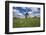 Meadow with Senecio in Front of the Devil's Mill in the Harz Foreland in Saxony-Anhalt-Uwe Steffens-Framed Photographic Print