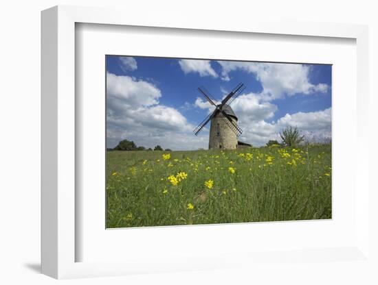 Meadow with Senecio in Front of the Devil's Mill in the Harz Foreland in Saxony-Anhalt-Uwe Steffens-Framed Photographic Print