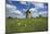 Meadow with Senecio in Front of the Devil's Mill in the Harz Foreland in Saxony-Anhalt-Uwe Steffens-Mounted Photographic Print