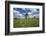 Meadow with Senecio in Front of the Devil's Mill in the Harz Foreland in Saxony-Anhalt-Uwe Steffens-Framed Photographic Print