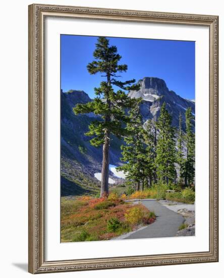 Meadow with Trail and Table Mountain, Heather Meadows Recreation Area, Washington, Usa-Jamie & Judy Wild-Framed Photographic Print