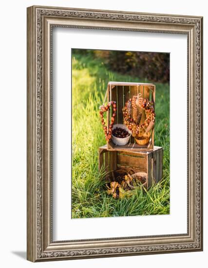 meadow, wooden boxes, autumnal decoration,-mauritius images-Framed Photographic Print