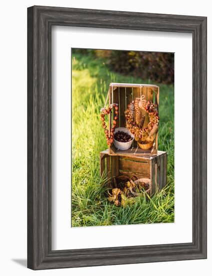 meadow, wooden boxes, autumnal decoration,-mauritius images-Framed Photographic Print