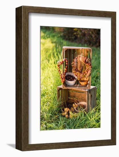 meadow, wooden boxes, autumnal decoration,-mauritius images-Framed Photographic Print