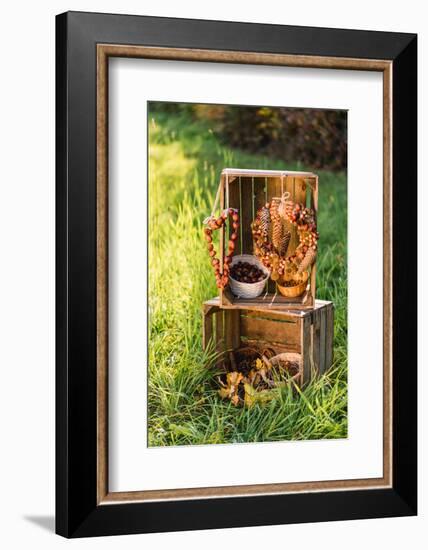 meadow, wooden boxes, autumnal decoration,-mauritius images-Framed Photographic Print