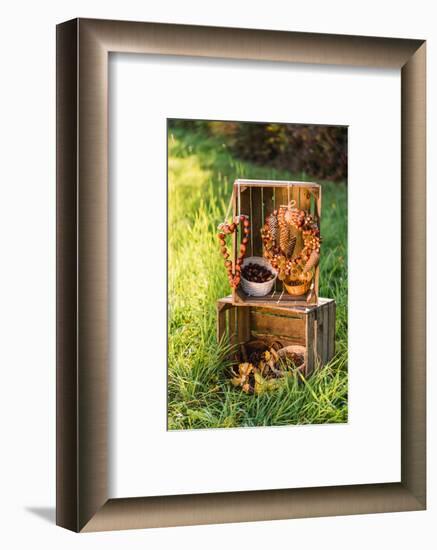 meadow, wooden boxes, autumnal decoration,-mauritius images-Framed Photographic Print