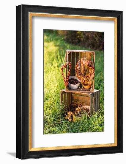 meadow, wooden boxes, autumnal decoration,-mauritius images-Framed Photographic Print