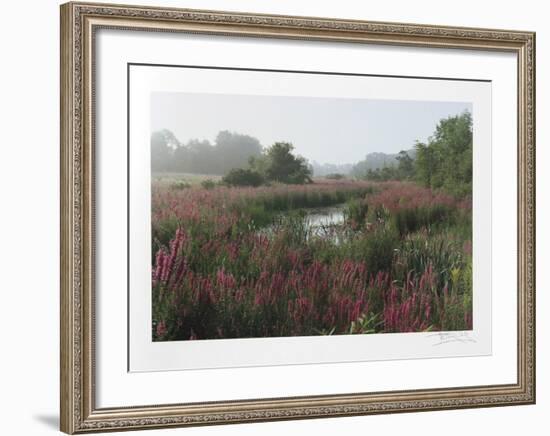 Meadow-Harvey Edwards-Framed Collectable Print