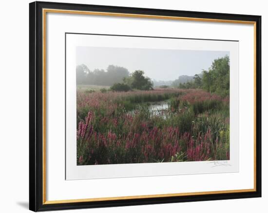 Meadow-Harvey Edwards-Framed Collectable Print