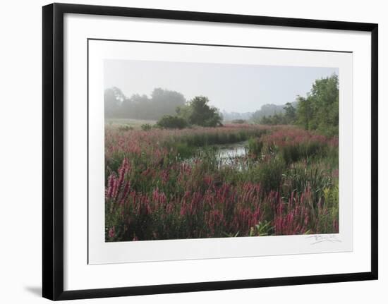 Meadow-Harvey Edwards-Framed Collectable Print